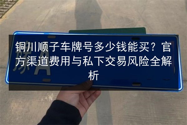 铜川顺子车牌号多少钱能买？官方渠道费用与私下交易风险全解析 第2张
