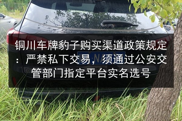 铜川车牌豹子购买渠道政策规定:严禁私下交易,须通过公安交管部门指定平台实名选号 第3张 铜川车牌豹子购买渠道政策规定:严禁私下交易,须通过公安交管部门指定平台实名选号 第3张