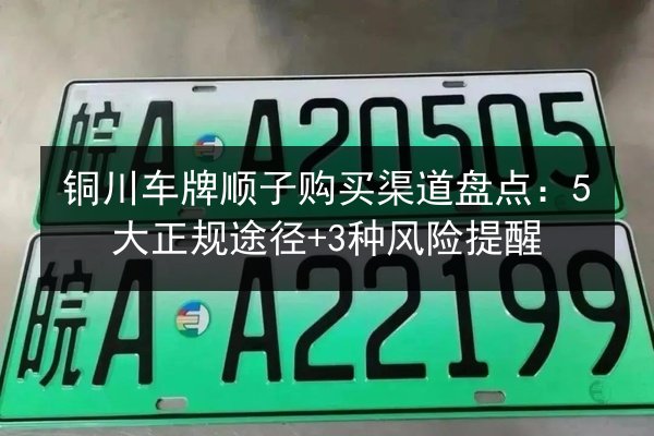 铜川车牌顺子购买渠道盘点：5大正规途径+3种风险提醒 第2张