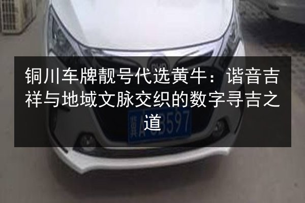 铜川车牌靓号代选黄牛:谐音吉祥与地域文脉交织的数字寻吉之道 第2张 铜川车牌靓号代选黄牛:谐音吉祥与地域文脉交织的数字寻吉之道 第2张