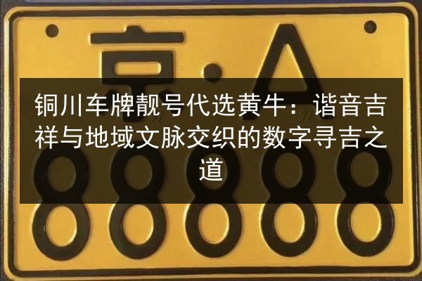 铜川车牌靓号代选黄牛:谐音吉祥与地域文脉交织的数字寻吉之道 第3张 铜川车牌靓号代选黄牛:谐音吉祥与地域文脉交织的数字寻吉之道 第3张