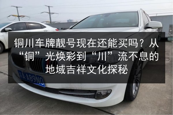 铜川车牌靓号现在还能买吗？从“铜”光焕彩到“川”流不息的地域吉祥文化探秘 第2张