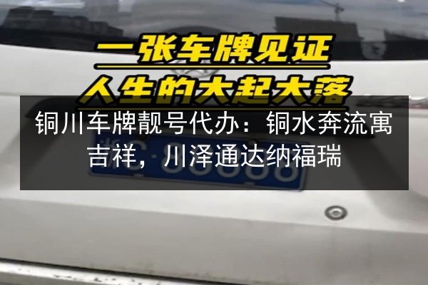 铜川车牌靓号代办:铜水奔流寓吉祥,川泽通达纳福瑞 第3张 铜川车牌靓号代办:铜水奔流寓吉祥,川泽通达纳福瑞 第3张