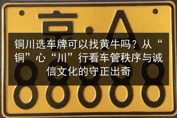 铜川选车牌可以找黄牛吗?从“铜”心“川”行看车管秩序与诚信文化的守正出奇 第2张 铜川选车牌可以找黄牛吗?从“铜”心“川”行看车管秩序与诚信文化的守正出奇 第2张