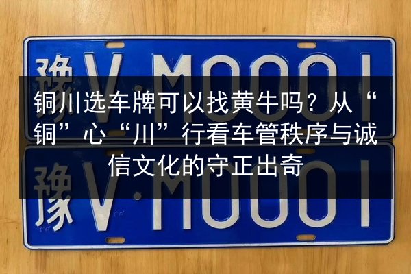 铜川选车牌可以找黄牛吗?从“铜”心“川”行看车管秩序与诚信文化的守正出奇 第3张 铜川选车牌可以找黄牛吗?从“铜”心“川”行看车管秩序与诚信文化的守正出奇 第3张
