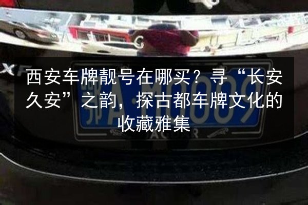 西安车牌靓号在哪买?寻“长安久安”之韵,探古都车牌文化的收藏雅集 第2张 西安车牌靓号在哪买?寻“长安久安”之韵,探古都车牌文化的收藏雅集 第2张