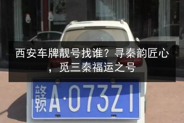 西安车牌靓号找谁？寻秦韵匠心，觅三秦福运之号 第2张