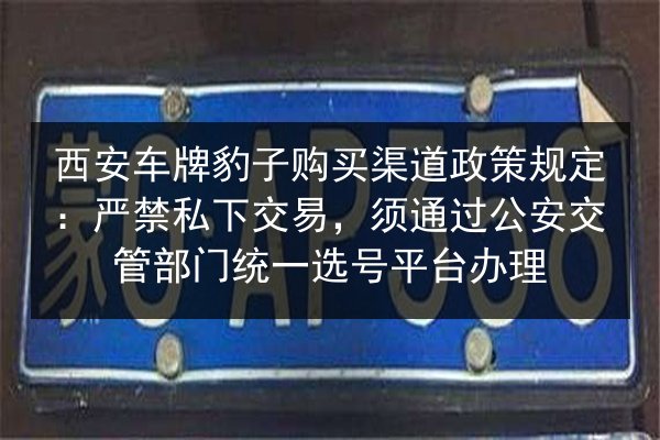 西安车牌豹子购买渠道政策规定：严禁私下交易，须通过公安交管部门统一选号平台办理 第2张