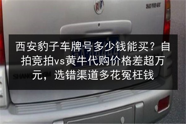 西安豹子车牌号多少钱能买?自拍竞拍vs黄牛代购价格差超万元,选错渠道多花冤枉钱 第2张 西安豹子车牌号多少钱能买?自拍竞拍vs黄牛代购价格差超万元,选错渠道多花冤枉钱 第2张