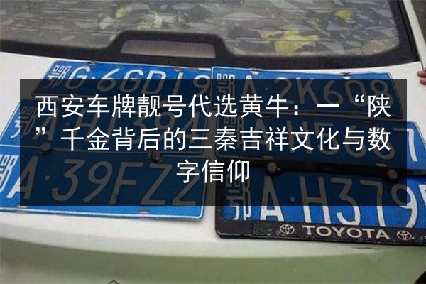 西安车牌靓号代选黄牛:一“陕”千金背后的三秦吉祥文化与数字信仰 第3张 西安车牌靓号代选黄牛:一“陕”千金背后的三秦吉祥文化与数字信仰 第3张