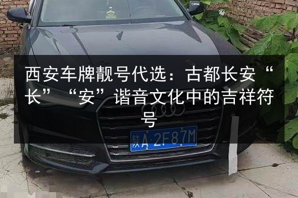 西安车牌靓号代选：古都长安“长”“安”谐音文化中的吉祥符号 第2张
