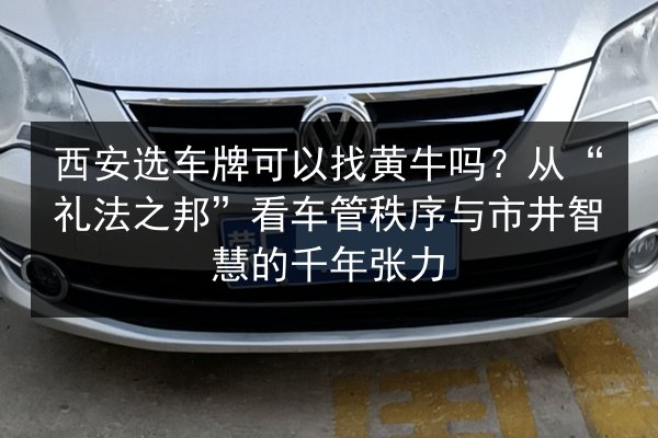 西安选车牌可以找黄牛吗?从“礼法之邦”看车管秩序与市井智慧的千年张力 第3张 西安选车牌可以找黄牛吗?从“礼法之邦”看车管秩序与市井智慧的千年张力 第3张