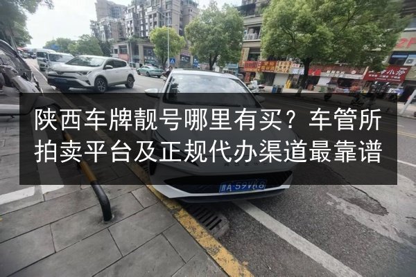 陕西车牌靓号哪里有买?车管所拍卖平台及正规代办渠道最靠谱 第2张 陕西车牌靓号哪里有买?车管所拍卖平台及正规代办渠道最靠谱 第2张