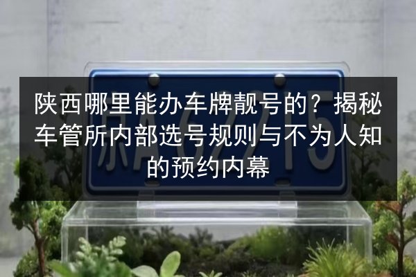 陕西哪里能办车牌靓号的？揭秘车管所内部选号规则与不为人知的预约内幕