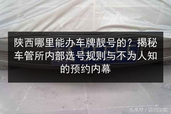 陕西哪里能办车牌靓号的?揭秘车管所内部选号规则与不为人知的预约内幕 第2张 陕西哪里能办车牌靓号的?揭秘车管所内部选号规则与不为人知的预约内幕 第2张