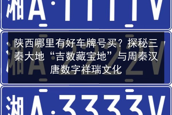陕西哪里有好车牌号买？探秘三秦大地“吉数藏宝地”与周秦汉唐数字祥瑞文化 第2张