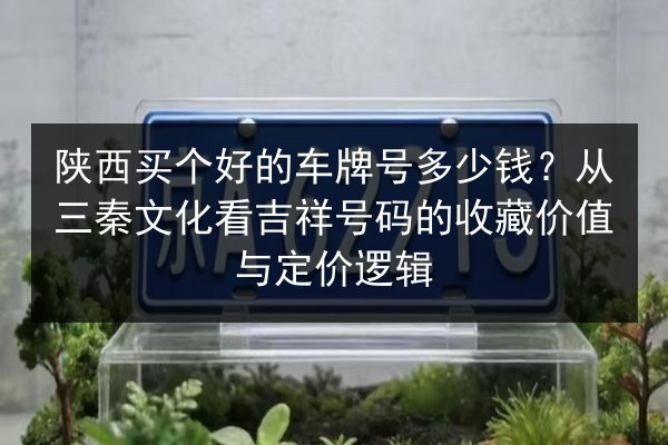 陕西买个好的车牌号多少钱？从三秦文化看吉祥号码的收藏价值与定价逻辑 第3张
