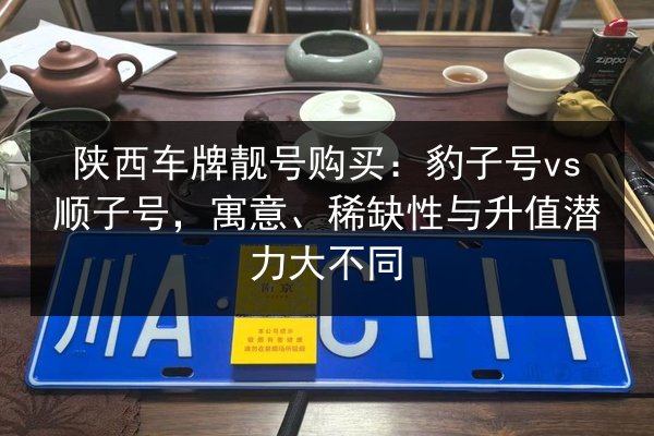 陕西车牌靓号购买:豹子号vs顺子号,寓意、稀缺性与升值潜力大不同 第2张 陕西车牌靓号购买:豹子号vs顺子号,寓意、稀缺性与升值潜力大不同 第2张