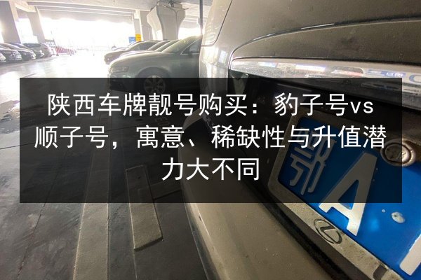 陕西车牌靓号购买:豹子号vs顺子号,寓意、稀缺性与升值潜力大不同 第3张 陕西车牌靓号购买:豹子号vs顺子号,寓意、稀缺性与升值潜力大不同 第3张