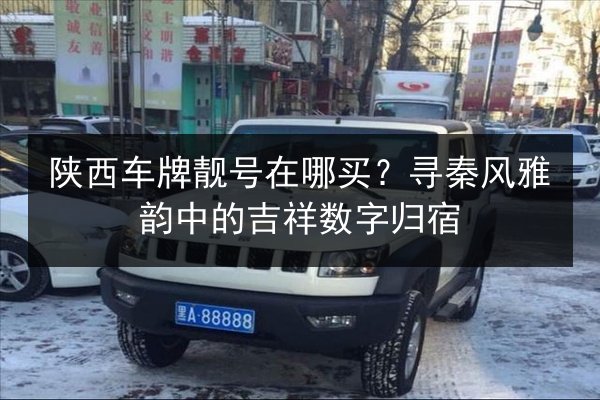 陕西车牌靓号在哪买?寻秦风雅韵中的吉祥数字归宿 第2张 陕西车牌靓号在哪买?寻秦风雅韵中的吉祥数字归宿 第2张