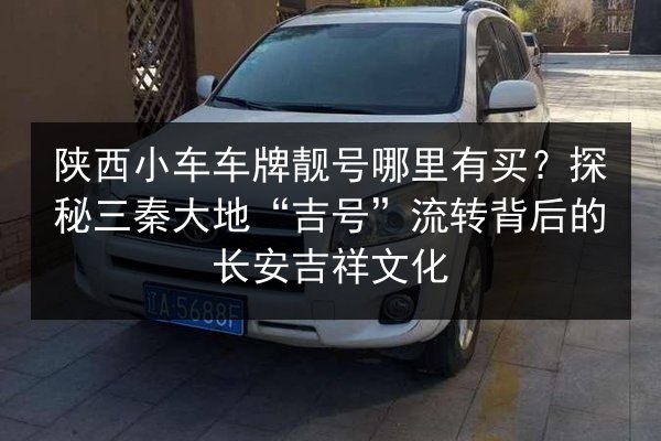 陕西小车车牌靓号哪里有买?探秘三秦大地“吉号”流转背后的长安吉祥文化 第2张 陕西小车车牌靓号哪里有买?探秘三秦大地“吉号”流转背后的长安吉祥文化 第2张