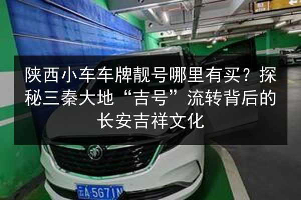 陕西小车车牌靓号哪里有买?探秘三秦大地“吉号”流转背后的长安吉祥文化 第3张 陕西小车车牌靓号哪里有买?探秘三秦大地“吉号”流转背后的长安吉祥文化 第3张
