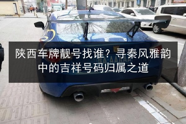 陕西车牌靓号找谁?寻秦风雅韵中的吉祥号码归属之道 第1张 陕西车牌靓号找谁?寻秦风雅韵中的吉祥号码归属之道 第1张