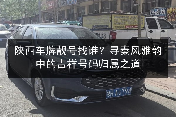 陕西车牌靓号找谁?寻秦风雅韵中的吉祥号码归属之道 第2张 陕西车牌靓号找谁?寻秦风雅韵中的吉祥号码归属之道 第2张