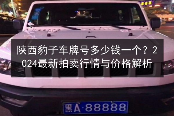 陕西豹子车牌号多少钱一个?2024最新拍卖行情与价格解析 第2张 陕西豹子车牌号多少钱一个?2024最新拍卖行情与价格解析 第2张