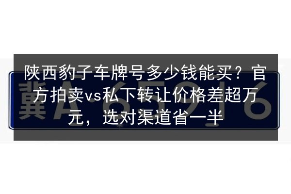 陕西豹子车牌号多少钱能买？官方拍卖vs私下转让价格差超万元，选对渠道省一半 第2张
