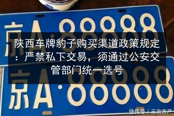 陕西车牌豹子购买渠道政策规定:严禁私下交易,须通过公安交管部门统一选号 第2张 陕西车牌豹子购买渠道政策规定:严禁私下交易,须通过公安交管部门统一选号 第2张