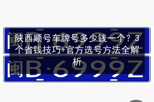 陕西顺号车牌号多少钱一个？3个省钱技巧+官方选号方法全解析 第2张