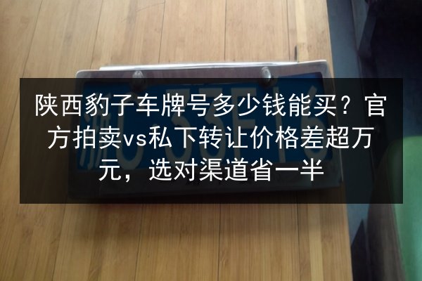 陕西豹子车牌号多少钱能买？官方拍卖vs私下转让价格差超万元，选对渠道省一半 第3张