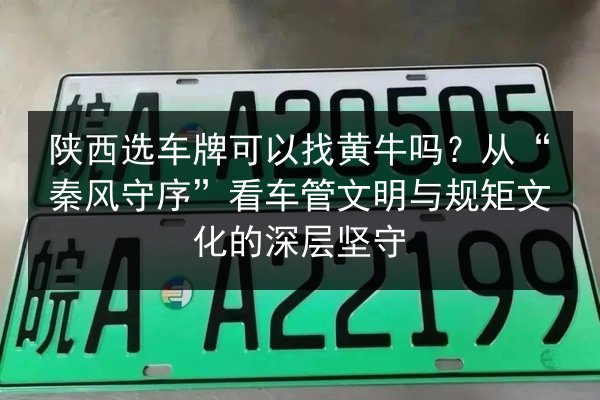 陕西选车牌可以找黄牛吗？从“秦风守序”看车管文明与规矩文化的深层坚守