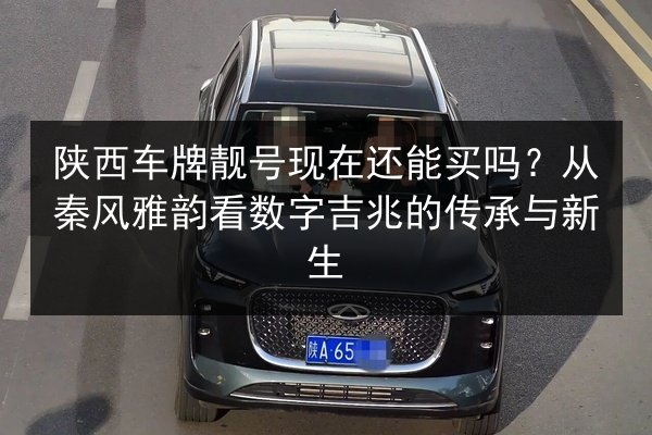 陕西车牌靓号现在还能买吗？从秦风雅韵看数字吉兆的传承与新生 第2张