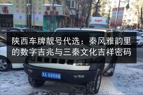 陕西车牌靓号代选:秦风雅韵里的数字吉兆与三秦文化吉祥密码 第2张 陕西车牌靓号代选:秦风雅韵里的数字吉兆与三秦文化吉祥密码 第2张