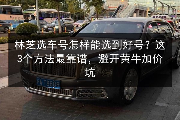 林芝选车号怎样能选到好号?这3个方法最靠谱,避开黄牛加价坑 第1张 林芝选车号怎样能选到好号?这3个方法最靠谱,避开黄牛加价坑 第1张