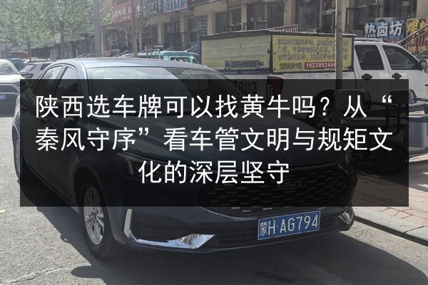 陕西选车牌可以找黄牛吗？从“秦风守序”看车管文明与规矩文化的深层坚守 第2张
