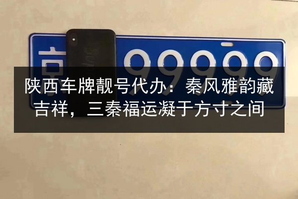 陕西车牌靓号代办:秦风雅韵藏吉祥,三秦福运凝于方寸之间 第3张 陕西车牌靓号代办:秦风雅韵藏吉祥,三秦福运凝于方寸之间 第3张