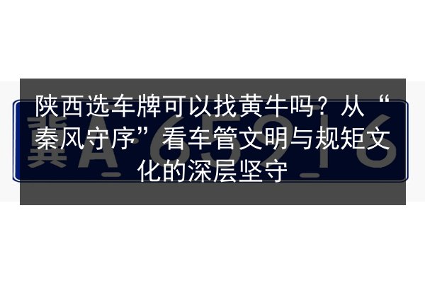 陕西选车牌可以找黄牛吗？从“秦风守序”看车管文明与规矩文化的深层坚守 第3张