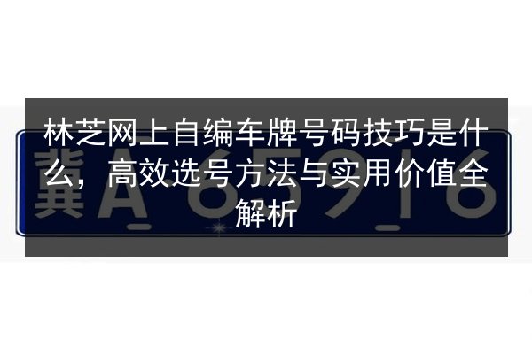 林芝网上自编车牌号码技巧是什么，高效选号方法与实用价值全解析 第2张