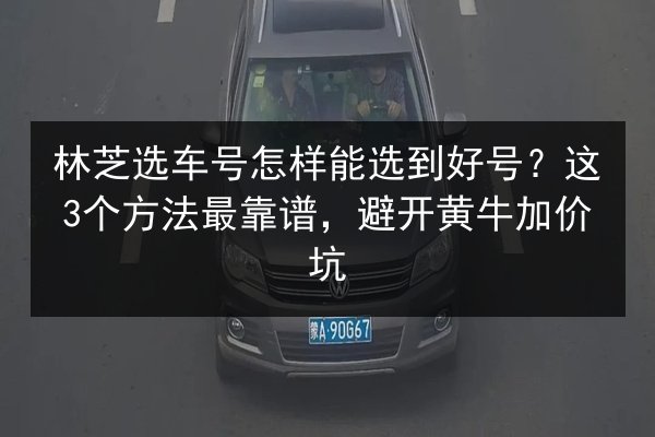 林芝选车号怎样能选到好号?这3个方法最靠谱,避开黄牛加价坑 第2张 林芝选车号怎样能选到好号?这3个方法最靠谱,避开黄牛加价坑 第2张