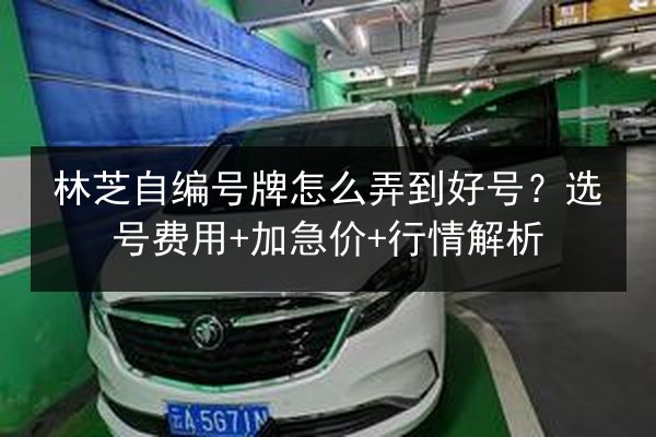 林芝自编号牌怎么弄到好号?选号费用+加急价+行情解析 第3张 林芝自编号牌怎么弄到好号?选号费用+加急价+行情解析 第3张