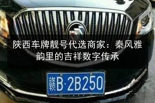 陕西车牌靓号代选商家:秦风雅韵里的吉祥数字传承 第3张 陕西车牌靓号代选商家:秦风雅韵里的吉祥数字传承 第3张