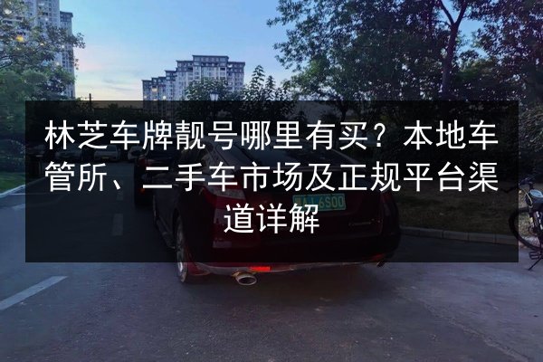 林芝车牌靓号哪里有买？本地车管所、二手车市场及正规平台渠道详解 第2张