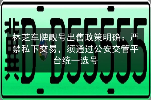 林芝车牌靓号出售政策明确:严禁私下交易,须通过公安交管平台统一选号 第3张 林芝车牌靓号出售政策明确:严禁私下交易,须通过公安交管平台统一选号 第3张