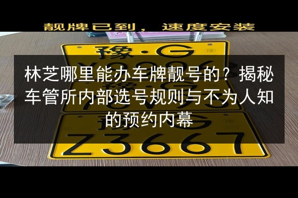 林芝哪里能办车牌靓号的?揭秘车管所内部选号规则与不为人知的预约内幕 第2张 林芝哪里能办车牌靓号的?揭秘车管所内部选号规则与不为人知的预约内幕 第2张