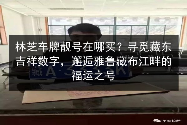 林芝车牌靓号在哪买？寻觅藏东吉祥数字，邂逅雅鲁藏布江畔的福运之号 第2张