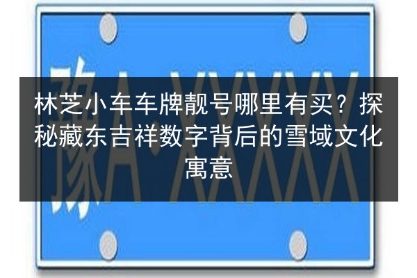 林芝小车车牌靓号哪里有买？探秘藏东吉祥数字背后的雪域文化寓意 第2张