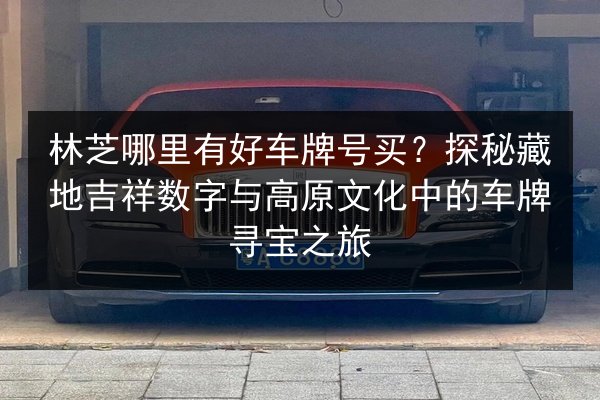 林芝哪里有好车牌号买？探秘藏地吉祥数字与高原文化中的车牌寻宝之旅 第2张